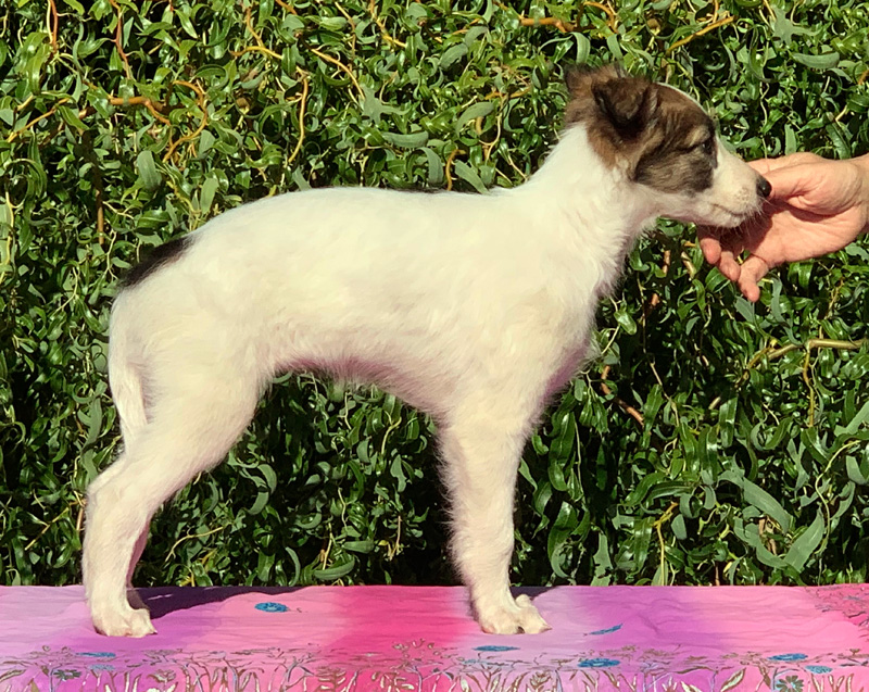 8 weeks - Girl 1 right